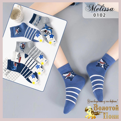 Носки хлопок м (3-9) 241107-V1041