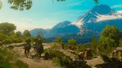 The Witcher 3: Wild Hunt (Ведьмак 3: Дикая охота) (Nintendo Switch, полностью на русском языке)