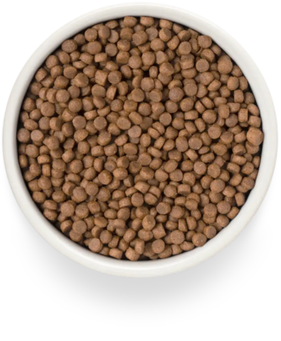 PREMIER Свежее филе лосося с индейкой для взрослых стерилизованных кошек