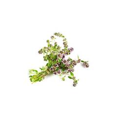 CdS. Тимьян хт. линалоол (Thyme ct. Linalool) – 10 ml