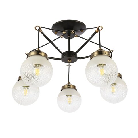 Светильник потолочный Evoluce Stricce SLE110302-05