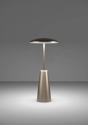 Аккумуляторная настольная лампа Eglo PICCOLA 900924