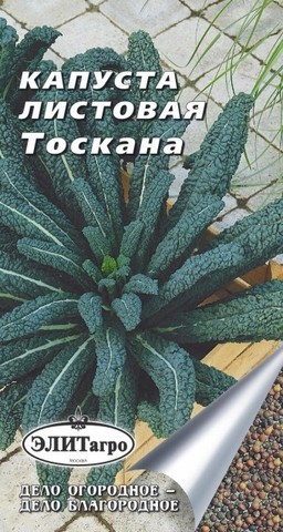 Семена Капуста Кале Тоскана