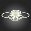 Светильник потолочный Evoled Cerina SLE500552-08