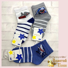 Носки хлопок м (3-9) 241107-V1041