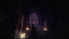 Shadwen (для ПК, цифровой код доступа)
