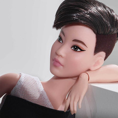 Барби Лукс 3 Миниатюрная Брюнетка Пикси Кит 1 Волна