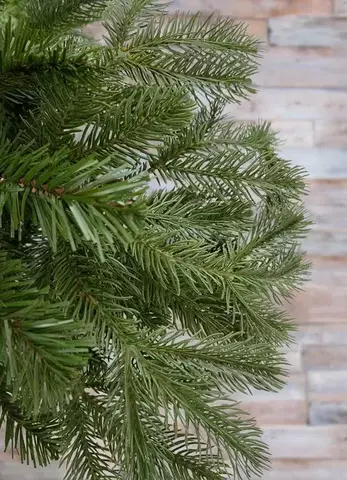 Ель 215см Black Box Дворянская зеленая