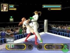 Fighting Beauty (Playstation 2)