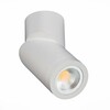 Светильник потолочный ST Luce ST650.502.01