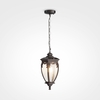 Подвесной светильник Maytoni Fleur O414PL-01BZ