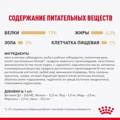 Royal Canin пауч для котят породы Мейн Кун 85г