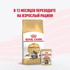 Royal Canin пауч для котят породы Мейн Кун 85г