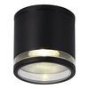 Светильник уличный потолочный ST Luce Tubo SL9009.402.01