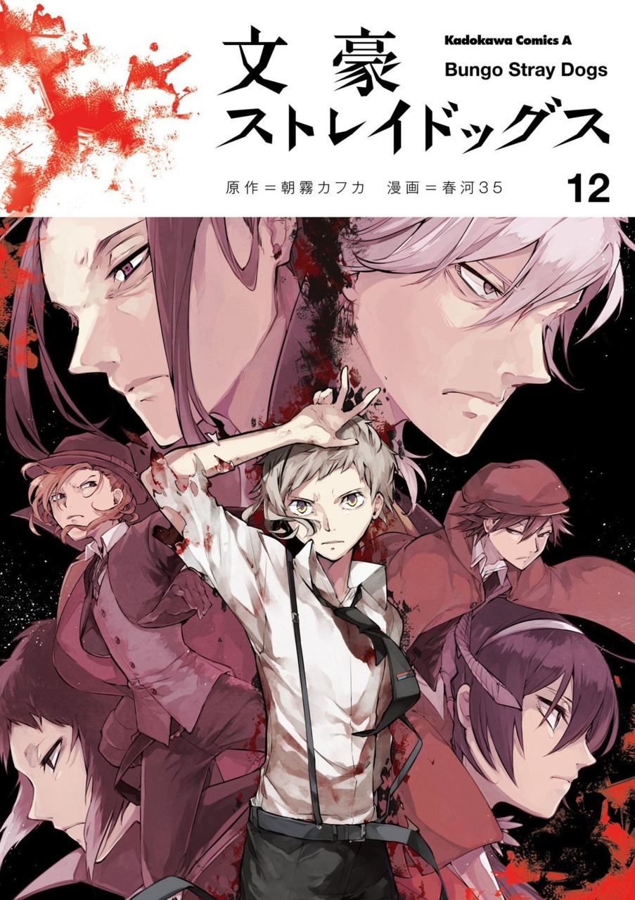 Bungo Stray Dogs Vol. 12 (На Японском языке) – купить по выгодной цене |  Интернет-магазин комиксов 28oi.ru