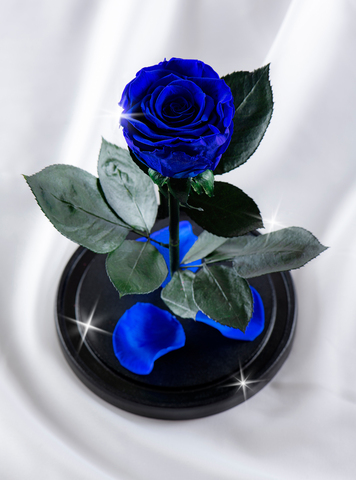 Роза в колбе премиум синяя