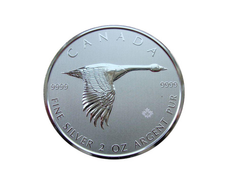Канада 10 долларов 2020 Канадский гусь СЕРЕБРО