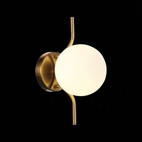 Светильник настенный ST Luce Forcio SL1126.201.01