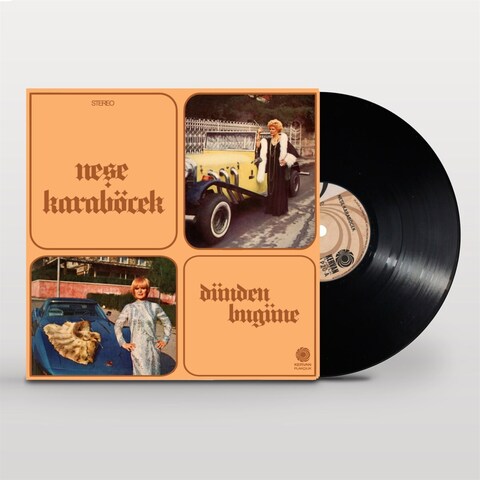 Vinil \ Пластинка \ Vynil Neşe Karaböcek - DÜNDEN BUGÜNE / LP