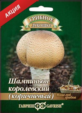 Выращивание грибов (вешенка, шиитаке, шампиньон)