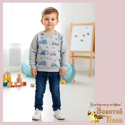 Свитшот трикотаж м (74-98) 251205-Y5110