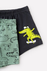 набор трусы/ уп  для мальчика  К 1912-2уп/тем.серый,пыльная мята,зоопарк Ал