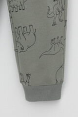 брюки  для мальчика  КР 400670/зеленый чай,динозавры к552