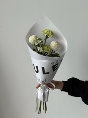 Кулек сборный из оксипеталума, диантусов и хризантемы