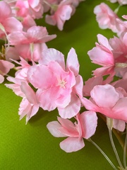 Сакура, лиана декоративная, свисающая зелень, ампельное растение, цвет Розовый, 180 см, набор 1 шт.