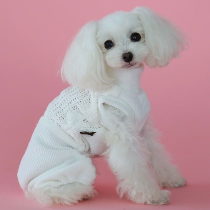 одежда для собак BorisHouse