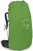 Картинка рюкзак туристический Osprey Kestrel 58 Bonsai Green - 9