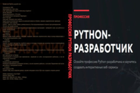 Профессия Python разработчик