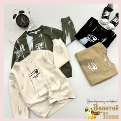 Свитшот мальчику (8-13) 240826-GF1358