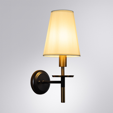 Настенный светильник Arte Lamp RICCARDO A4075AP-1BK