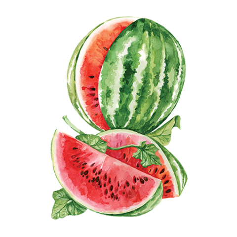 Сироп Арбуз ProffSyrup