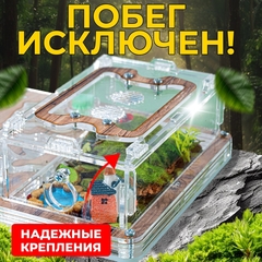муравьиная ферма