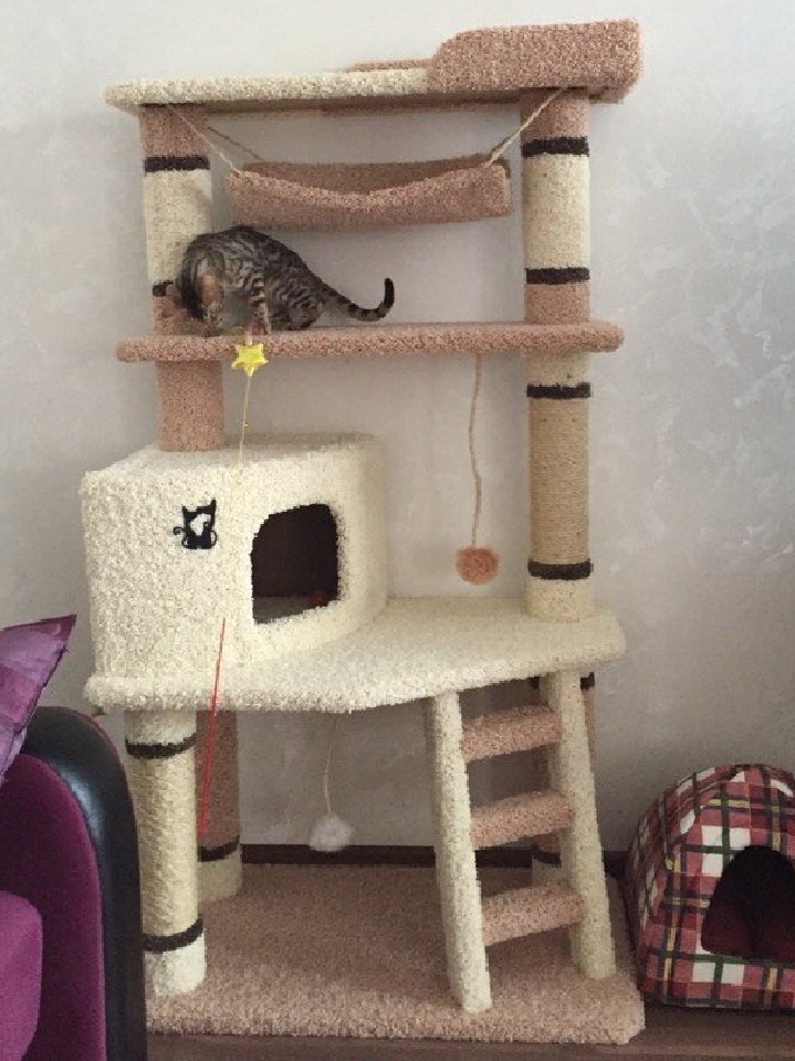 Фото когтеточек для котов с домиком