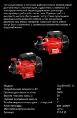 Насос садовый QUATTRO ELEMENTI Giardino 801 Ci (800 Вт, 3000 л/ч, для чистой, 50 м, 8,4 кг) (910-133)