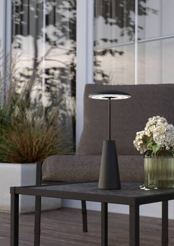 Аккумуляторная настольная лампа Eglo PICCOLA 900925