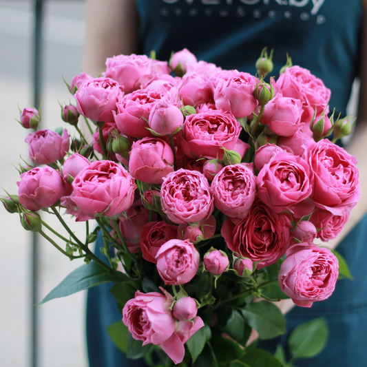 Розы кустовые пионовидные розовые Мисти Баблс купить в Перми