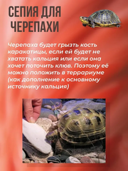 SEPIA панцирь каракатицы 12,7см