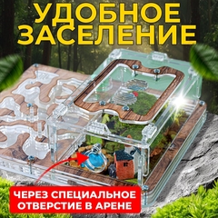 муравьиная ферма