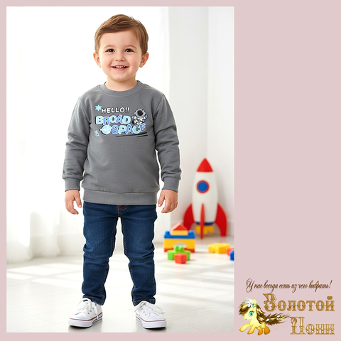 Свитшот трикотаж м (74-98) 251205-Y5115