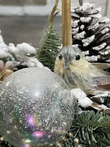 Композиция из нобилиса «Лесная сказка»