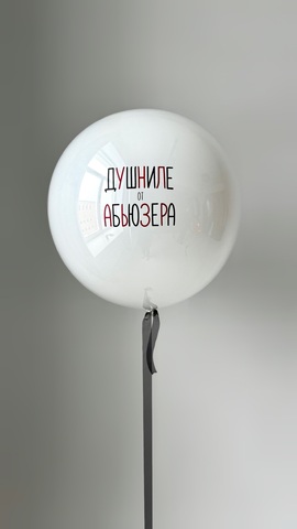 ШАРЫ К 14 ФЕВРАЛЯ №10