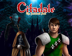 Citadale - The Accursed Seal (для ПК, цифровой код доступа)