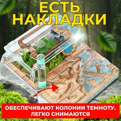 муравьиная ферма