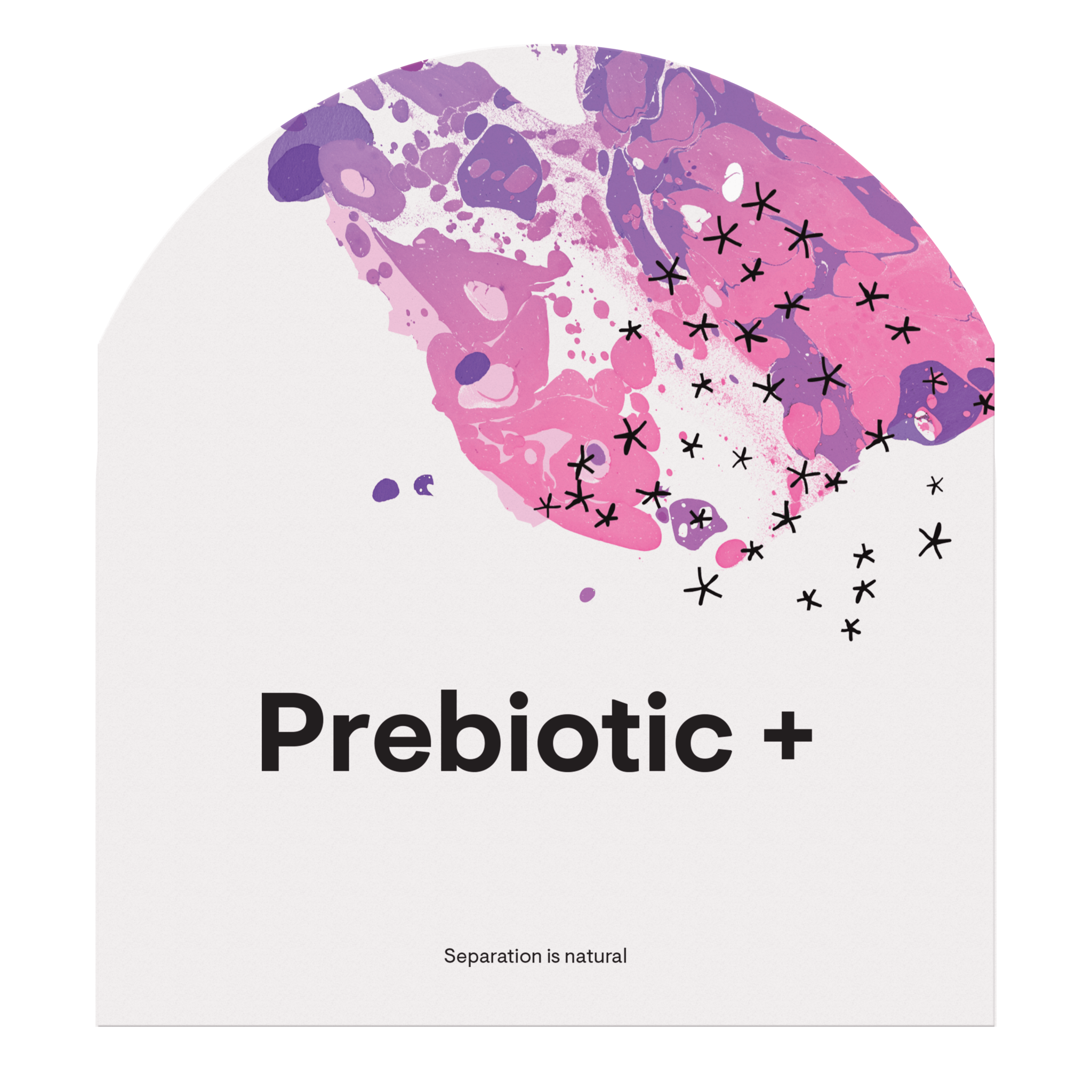 Пребиотики со вкусом граната и ягод, Prebiotic+, Thorne Research, 30 растворимых дисков 2