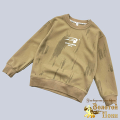 Свитшот мальчику (8-13) 240826-GF1358