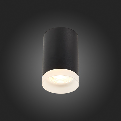 Светильник потолочный ST Luce ST100.402.01